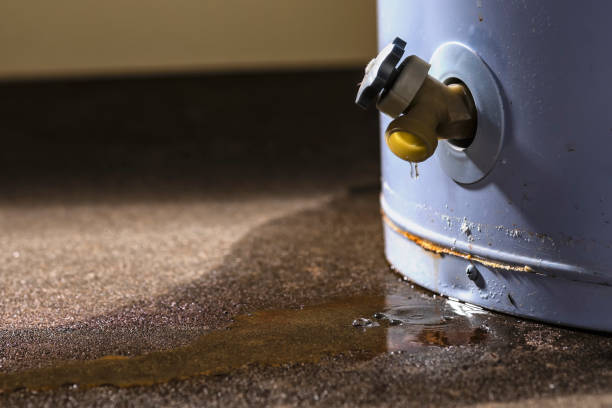  Arlington, MN Water damage restoration Pros