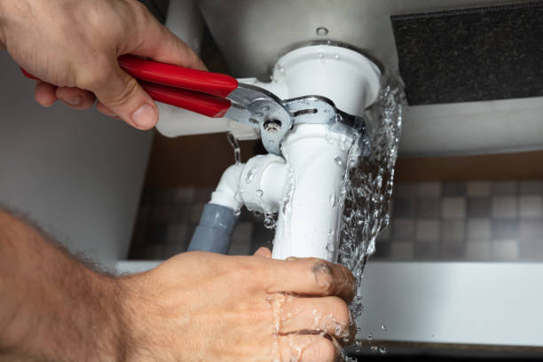 Best Water damage restoration experts  in Arlington, MN