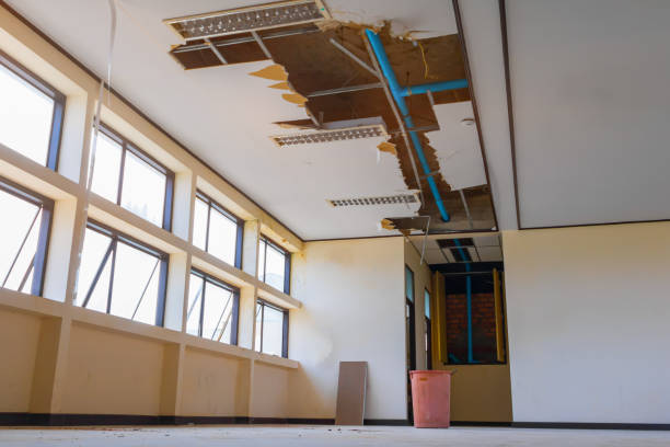 Best Professional water damage repair  in Arlington, MN
