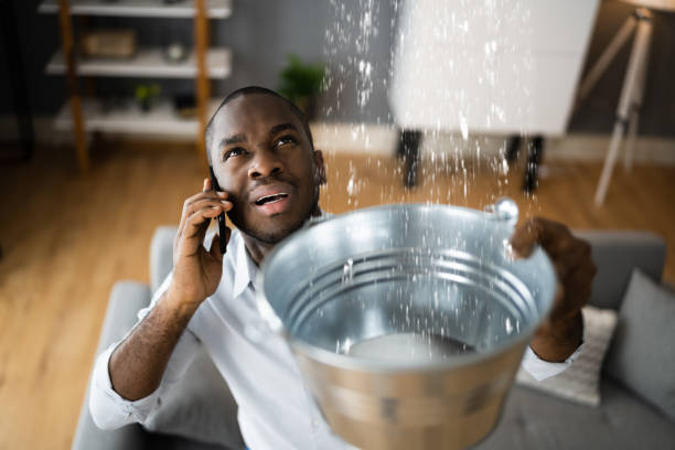 Best Flood damage cleanup  in Arlington, MN