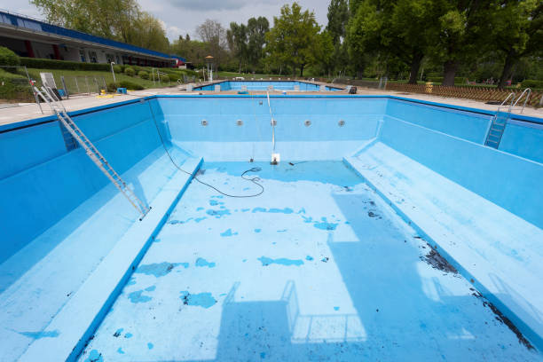 Best Professional water damage repair  in Arlington, MN
