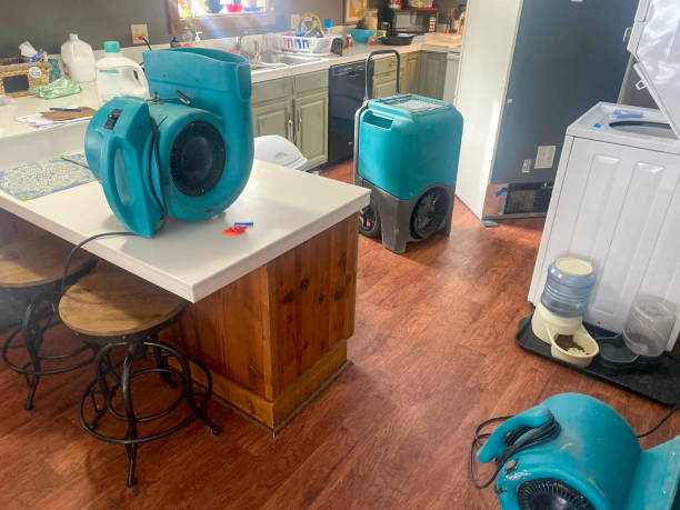 Best Water damage restoration near me  in Arlington, MN