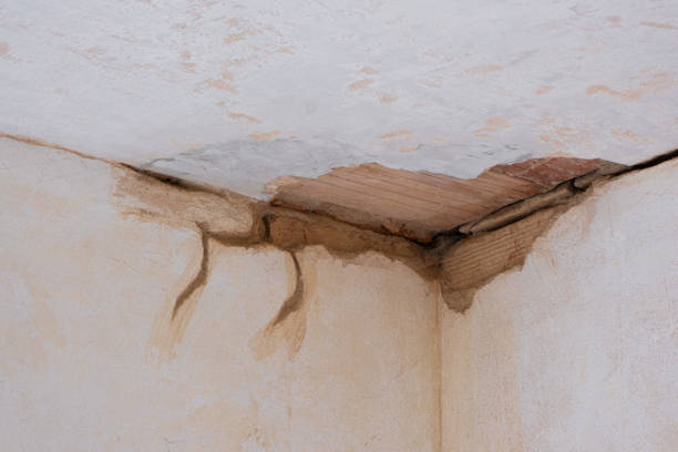 Best Commercial water damage restoration  in Arlington, MN