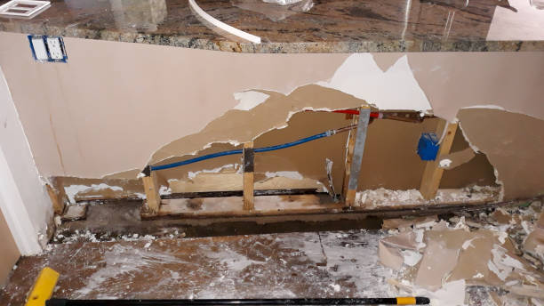 Best Water damage restoration near me  in Arlington, MN