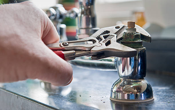 Best Flooded house restoration  in Arlington, MN