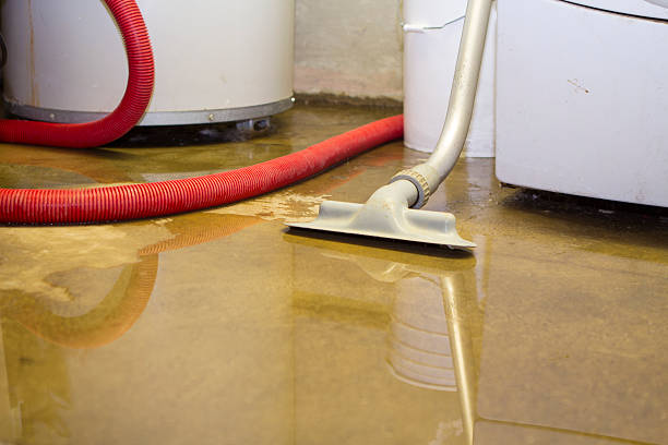  Arlington, MN Water damage restoration Pros