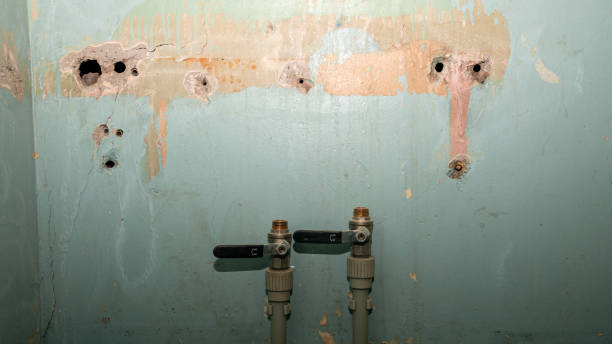 Best Sewage cleanup and water damage restoration  in Arlington, MN