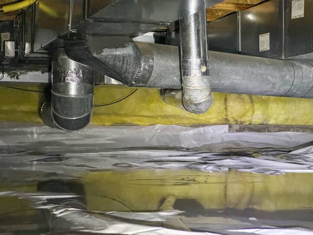 Best Water damage cleanup near me  in Arlington, MN
