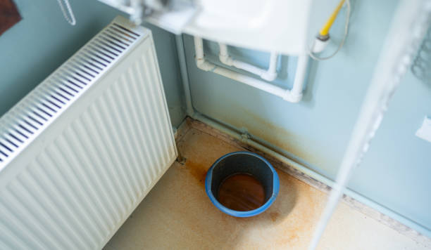 Best Water damage restoration process  in Arlington, MN