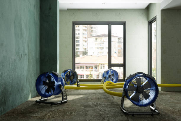 Water damage restoration process in Arlington, MN