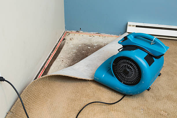 Best 24-hour water damage restoration  in Arlington, MN