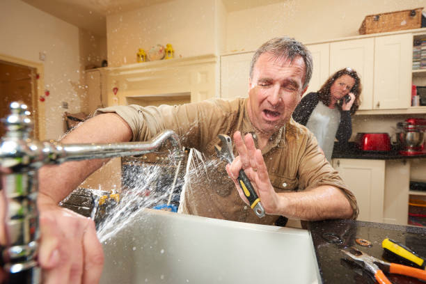 Best Water damage contractors near me  in Arlington, MN